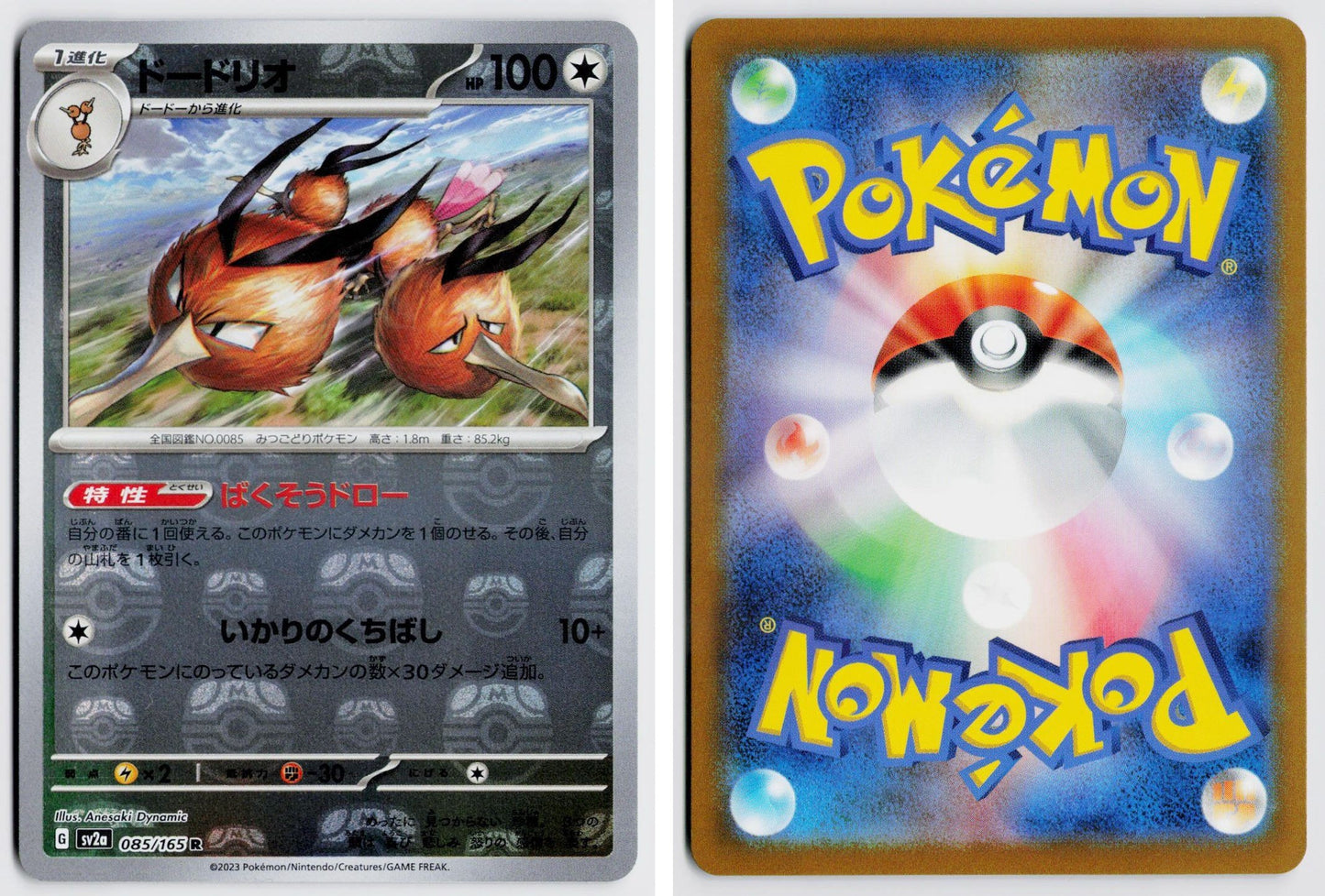 Front + Back scan