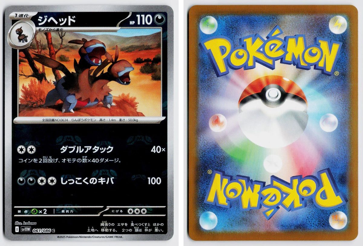 Front + Back scan