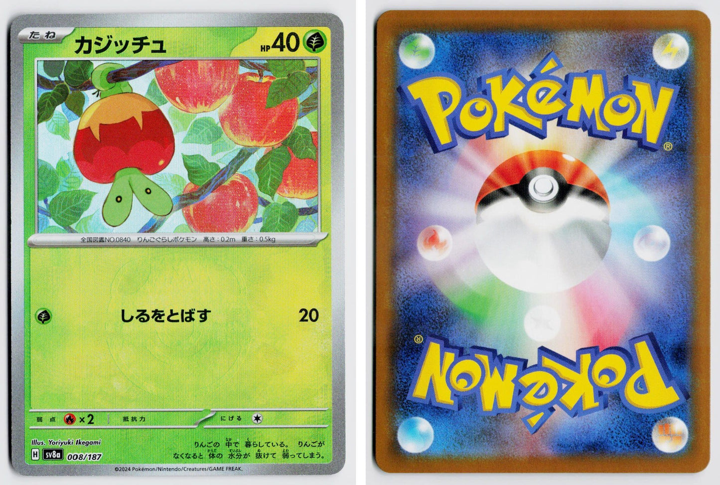 Front + Back scan