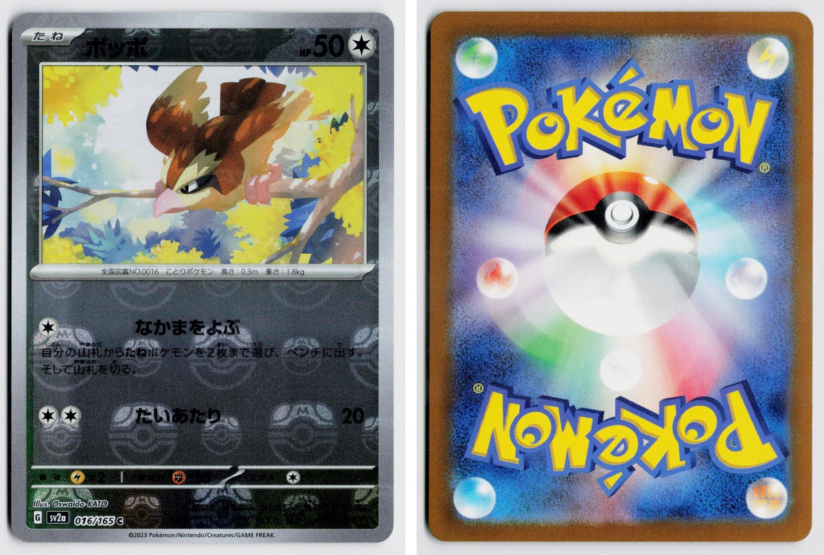 Front + Back scan