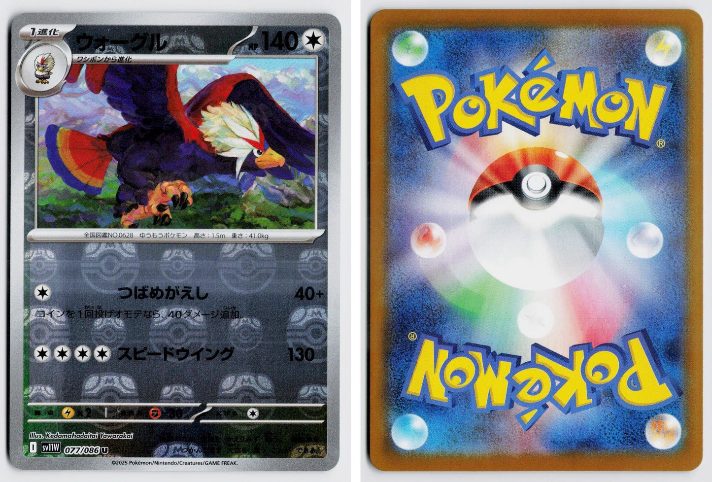 Front + Back scan