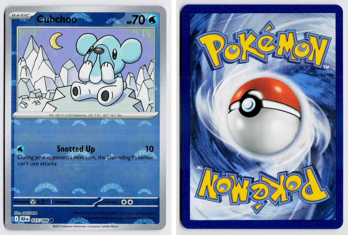 Front + Back scan