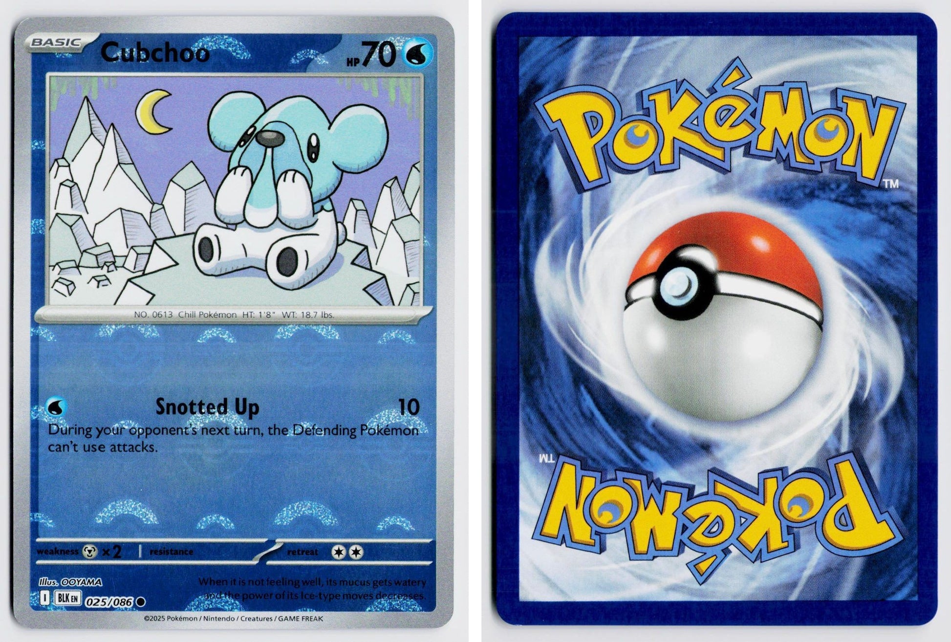 Front + Back scan