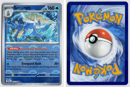 Front + Back scan