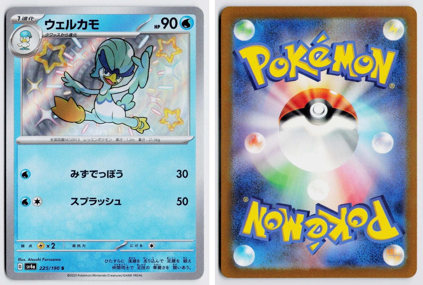 Front + Back scan