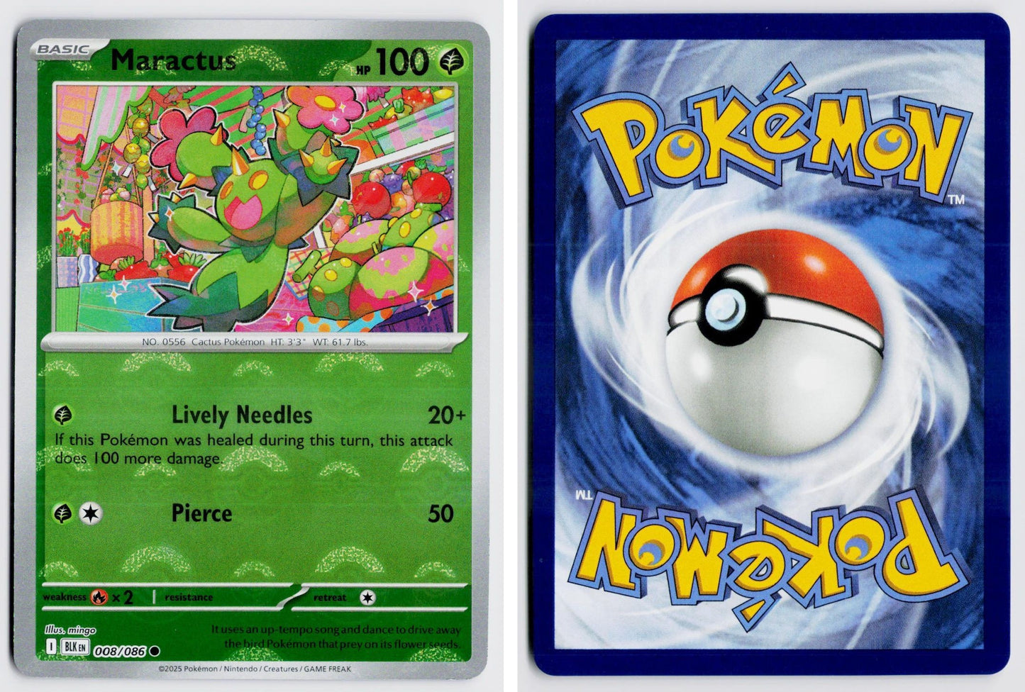 Front + Back scan