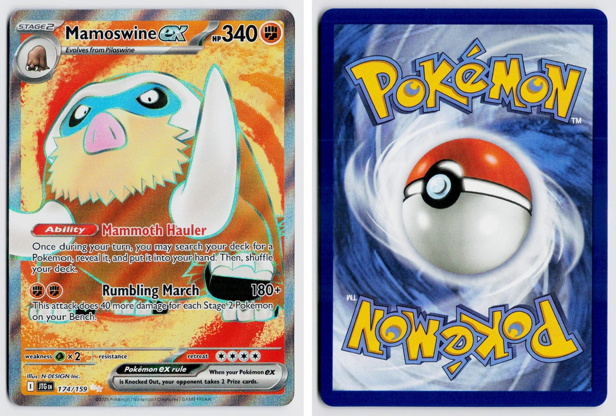 Front + Back scan