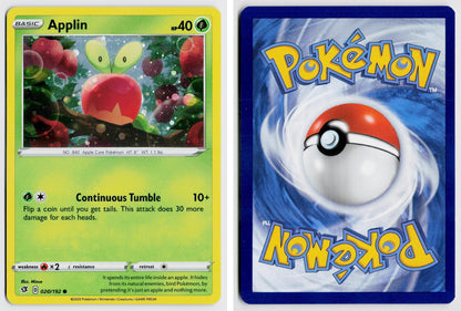 Front + Back scan