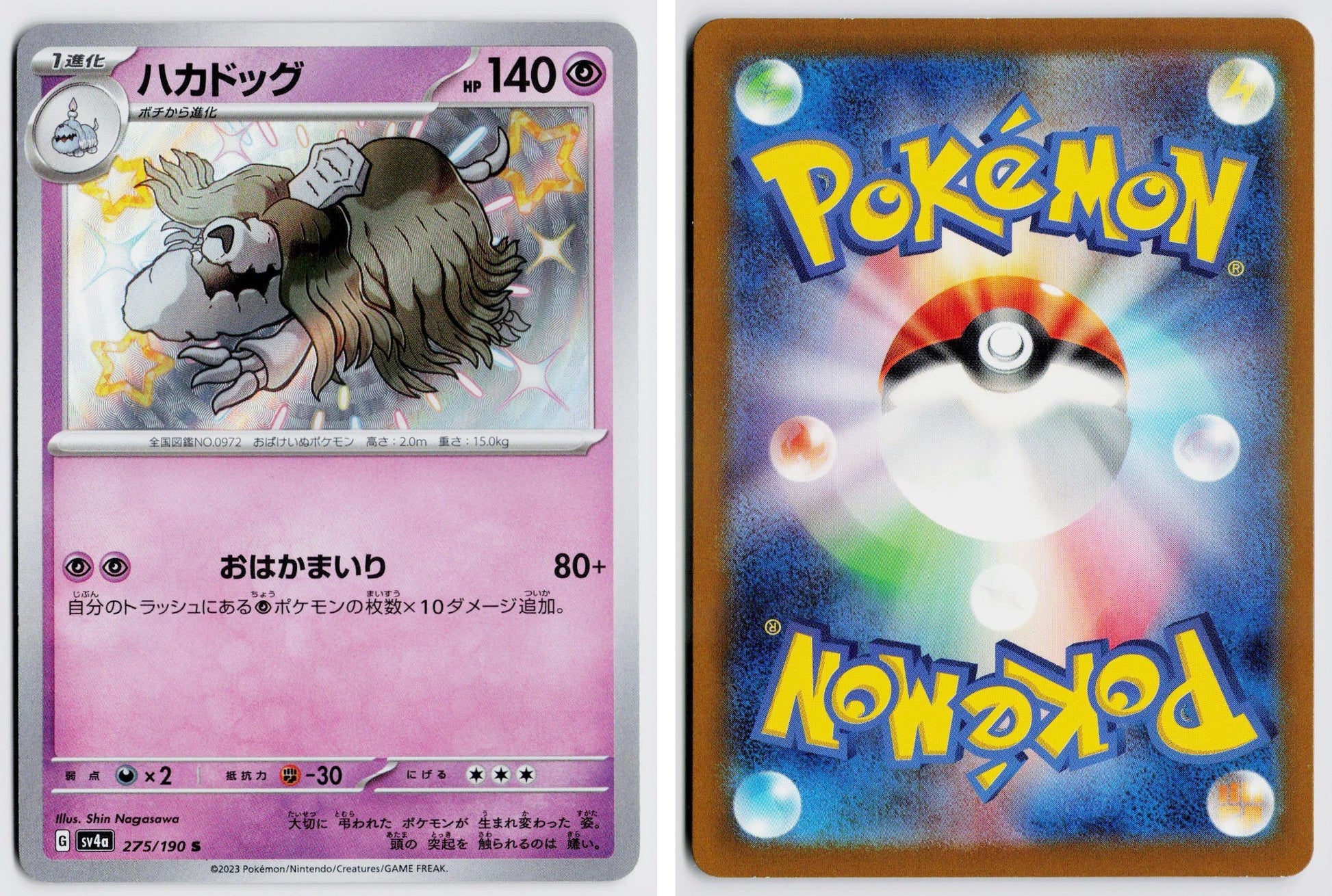 Front + Back scan