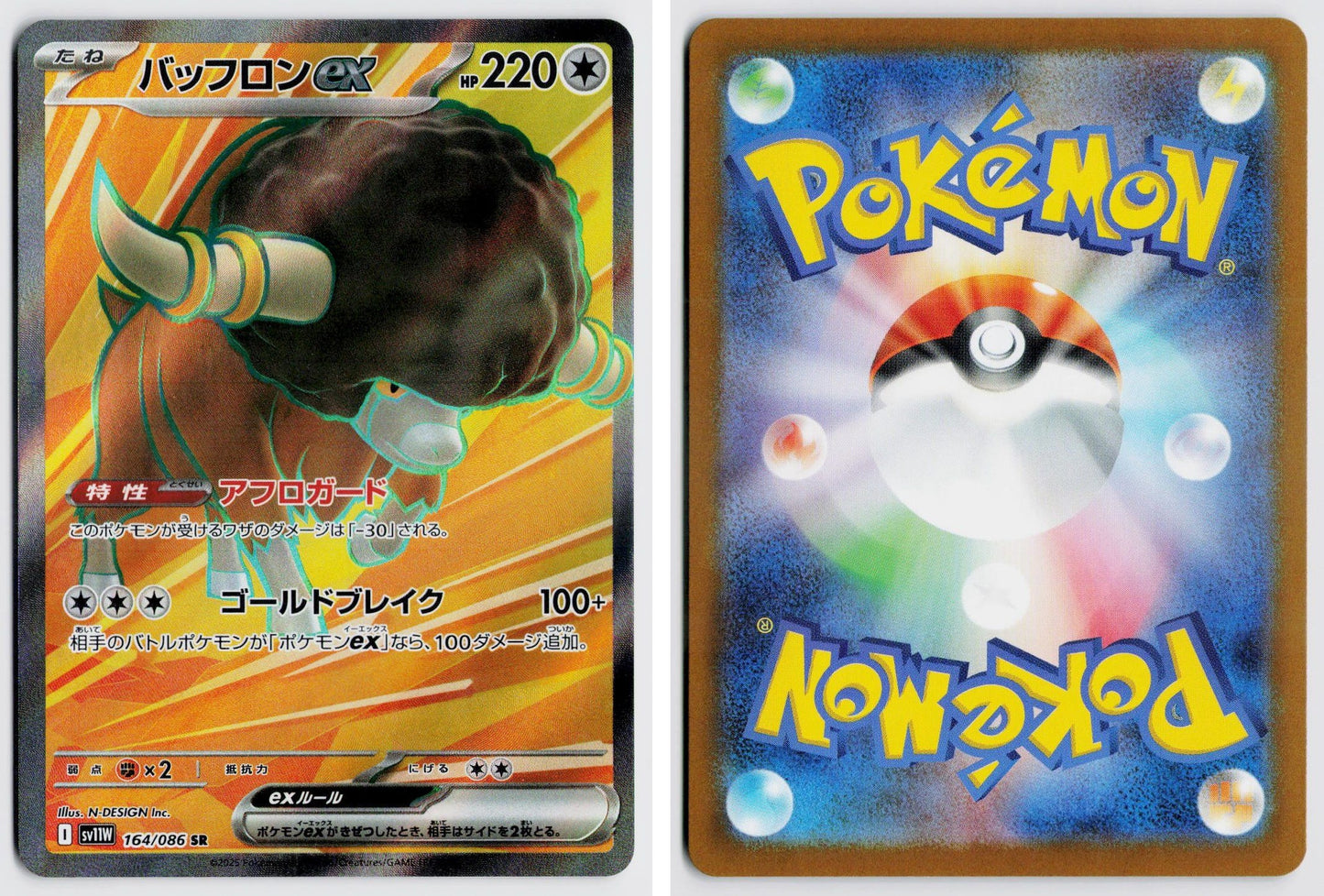 Front + Back scan