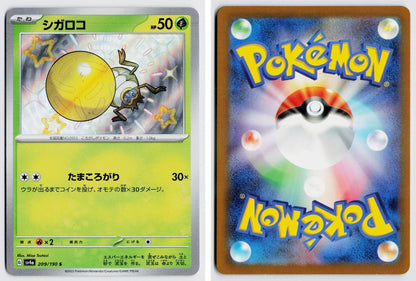 Front + Back scan