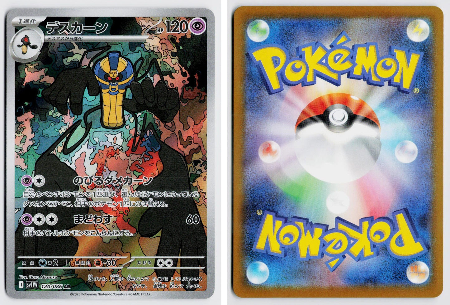 Front + Back scan