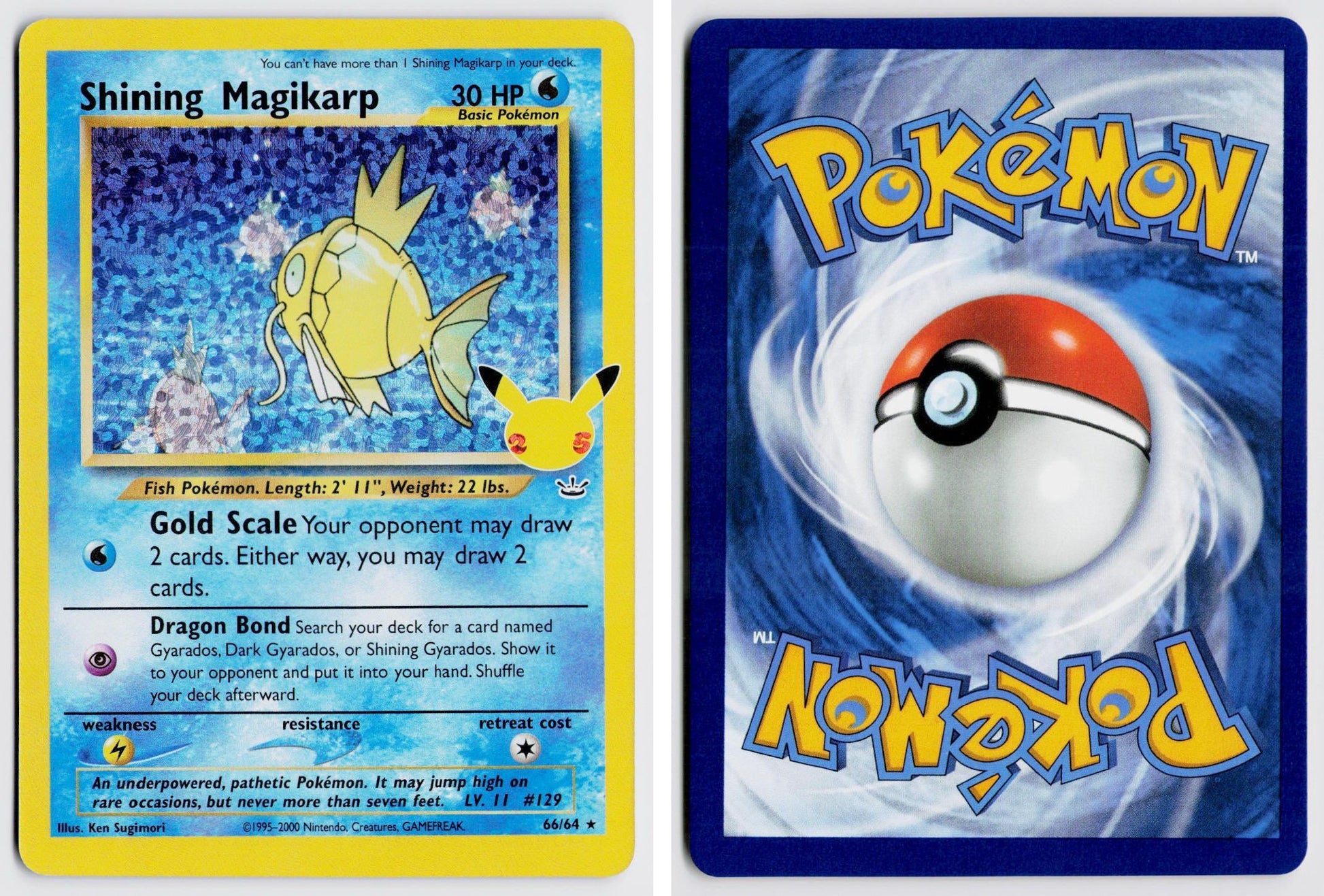 Front + Back scan
