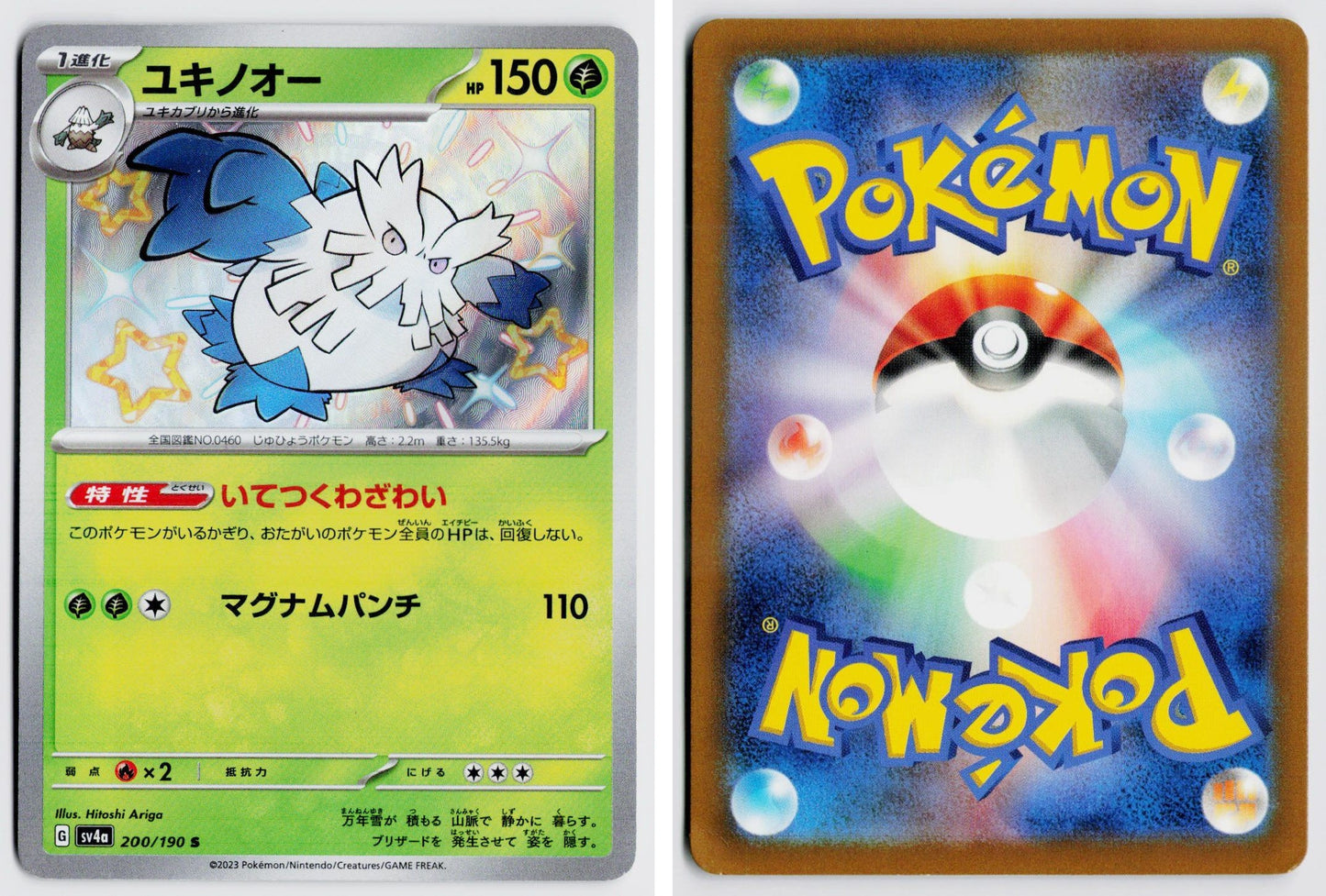 Front + Back scan