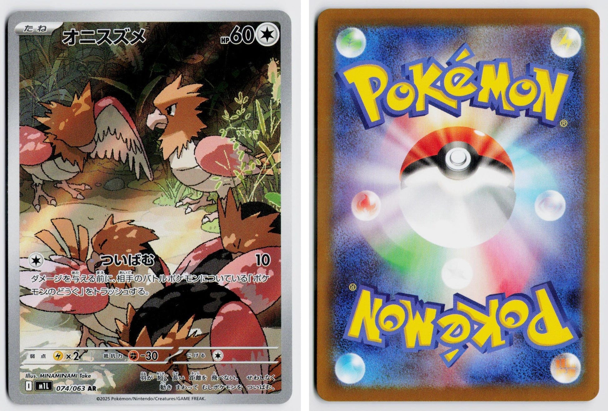 Front + Back scan