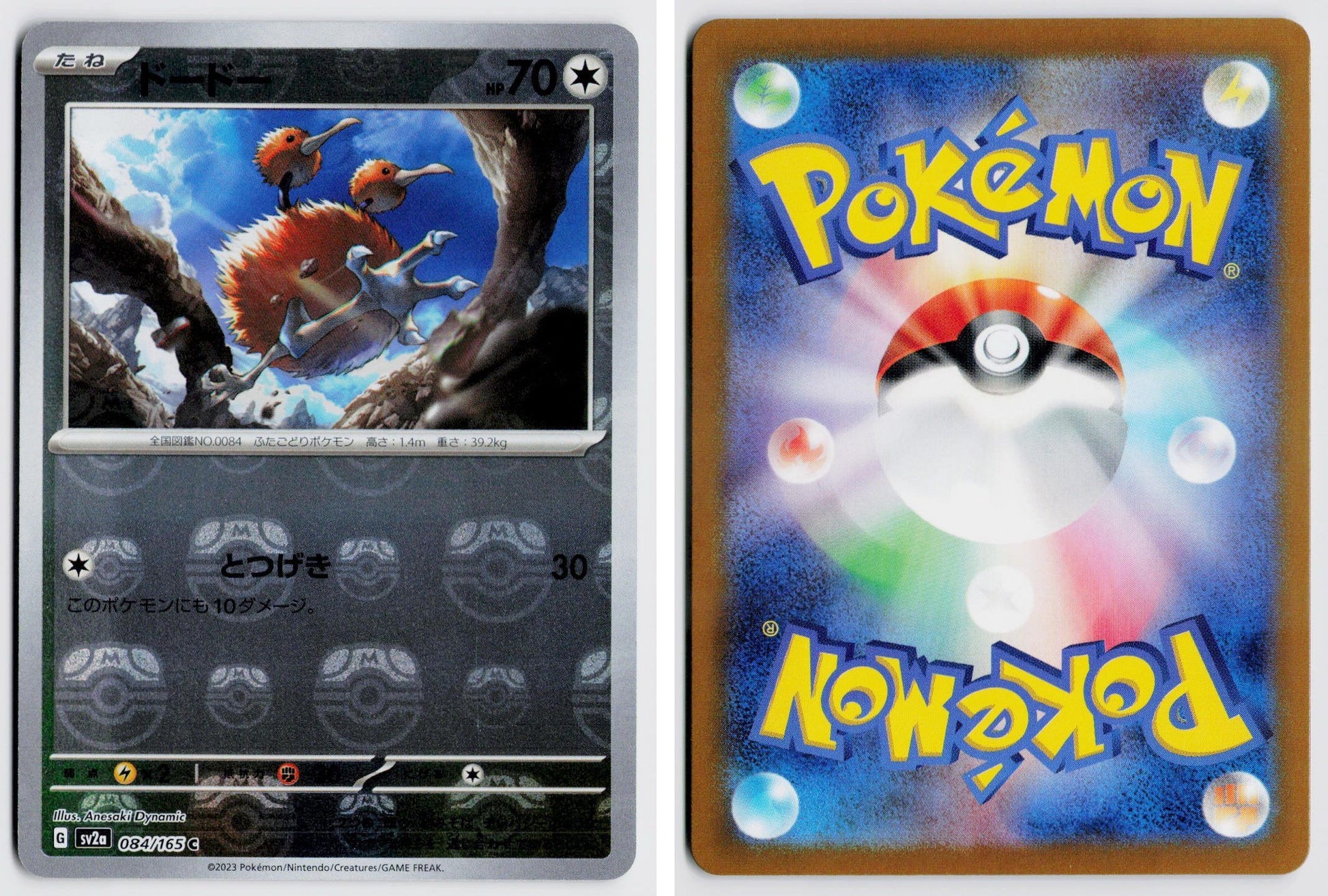 Front + Back scan