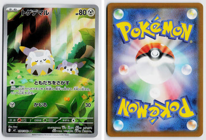 Front + Back scan
