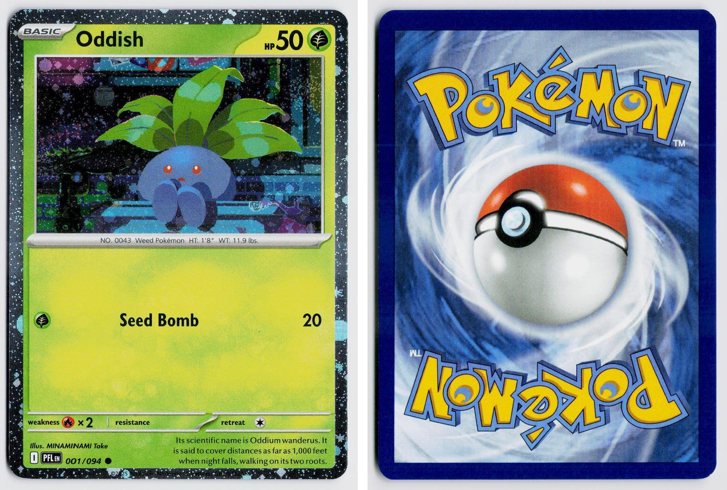 Front + Back scan
