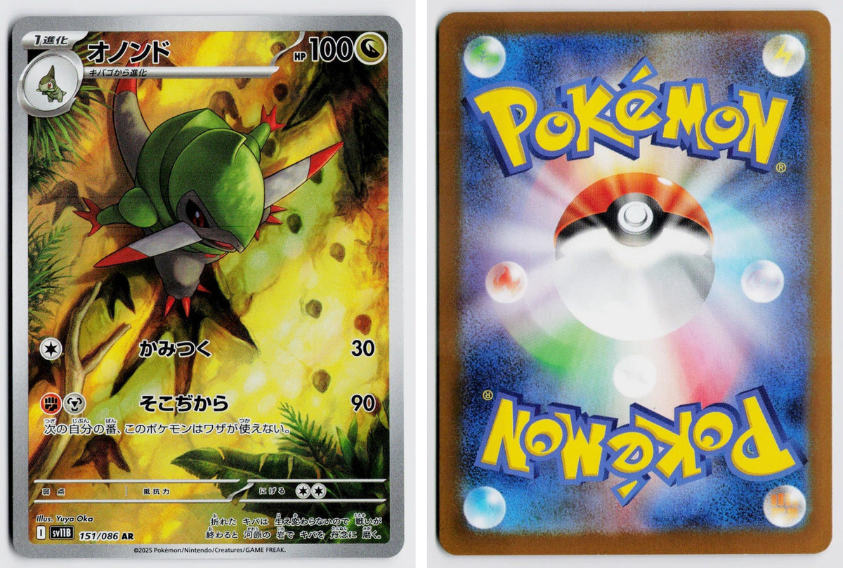 Front + Back scan