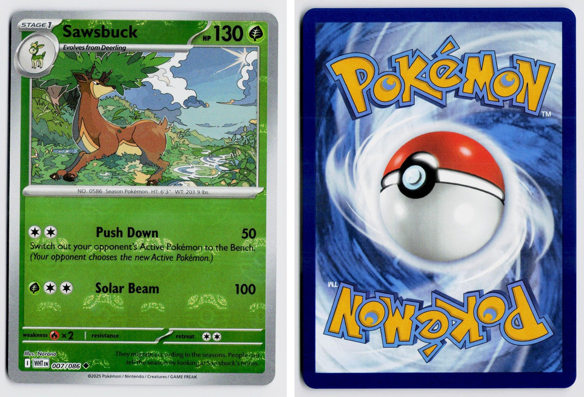 Front + Back scan