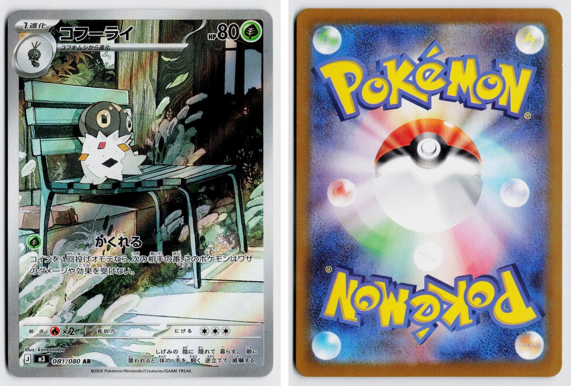 Front + Back scan