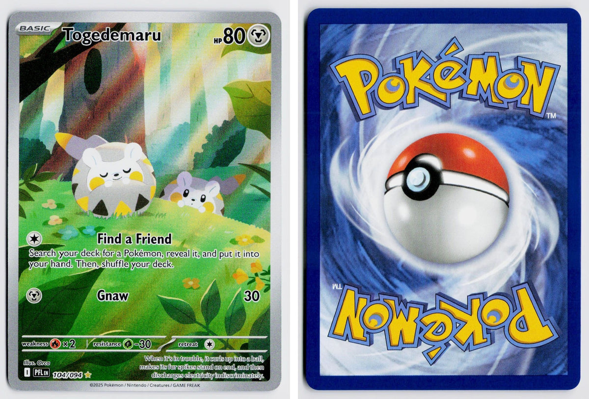 Front + Back scan