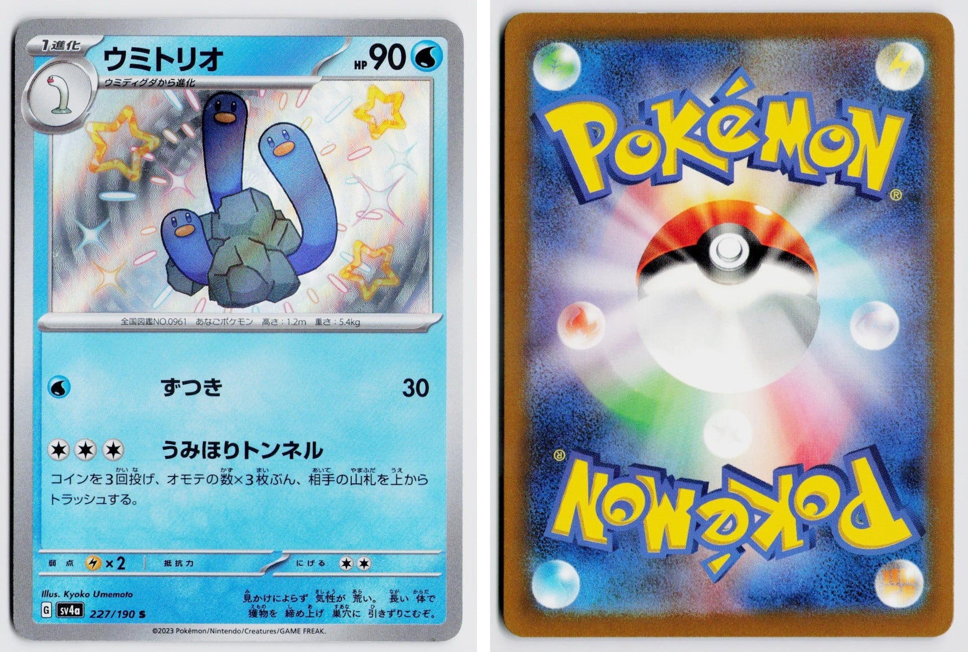 Front + Back scan