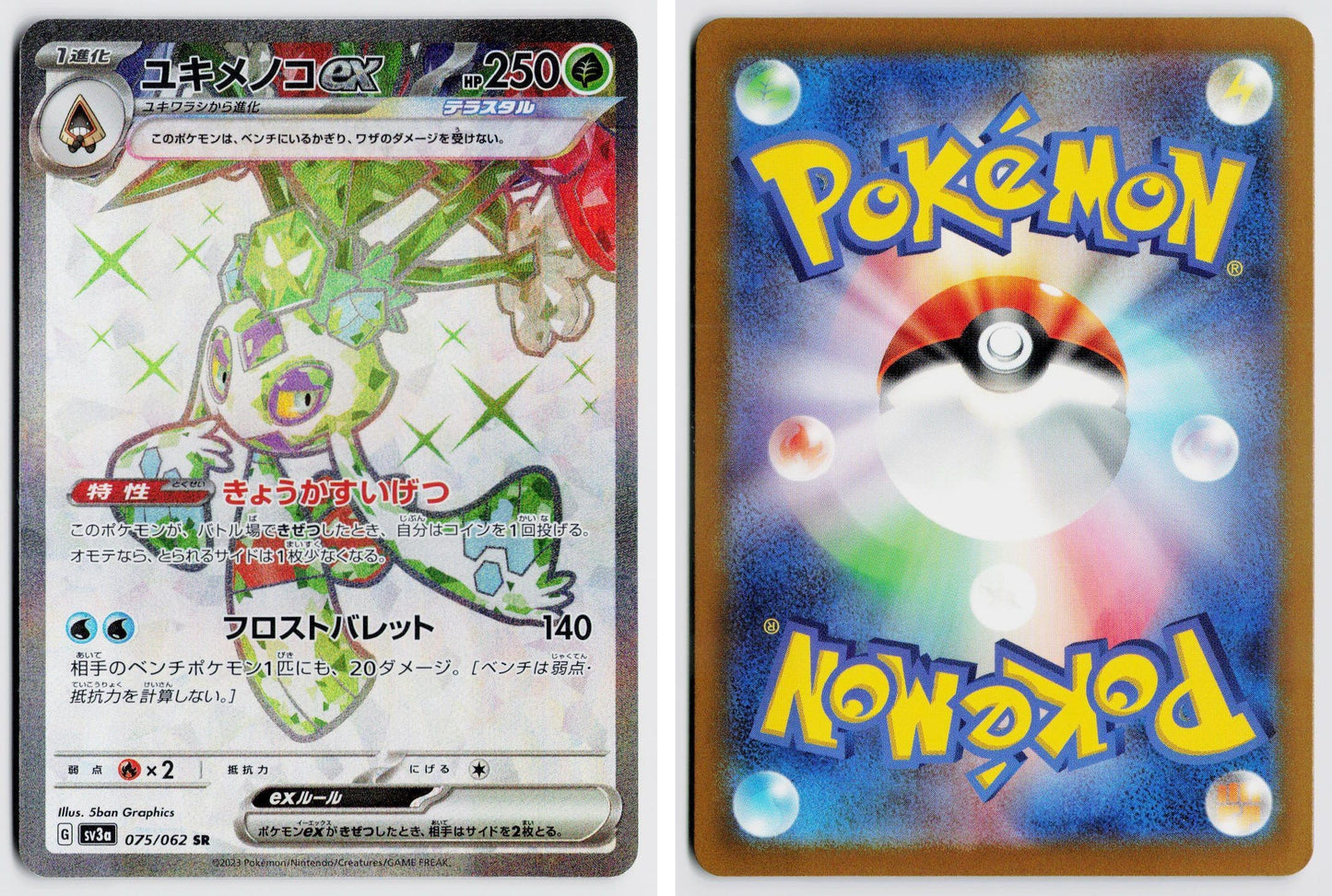 Front + Back scan