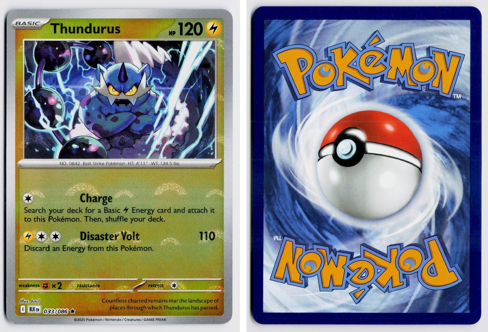 Front + Back scan