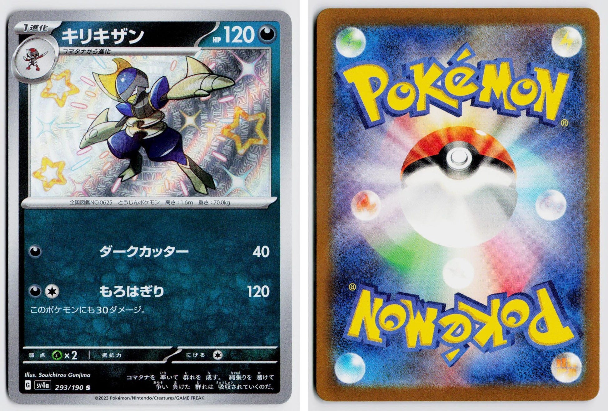 Front + Back scan