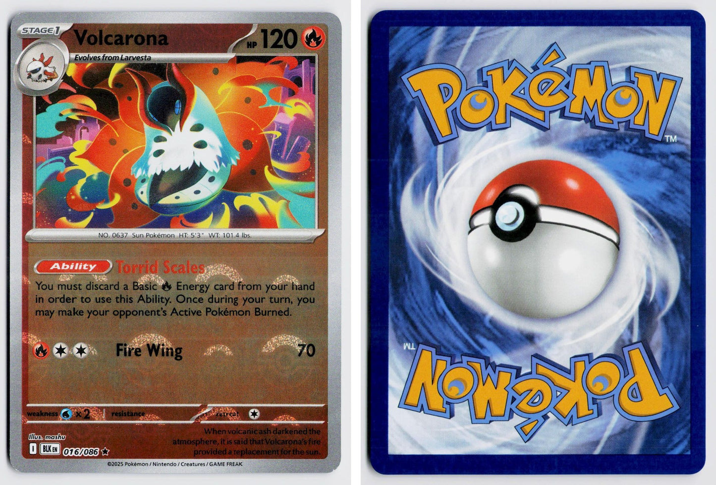 Front + Back scan