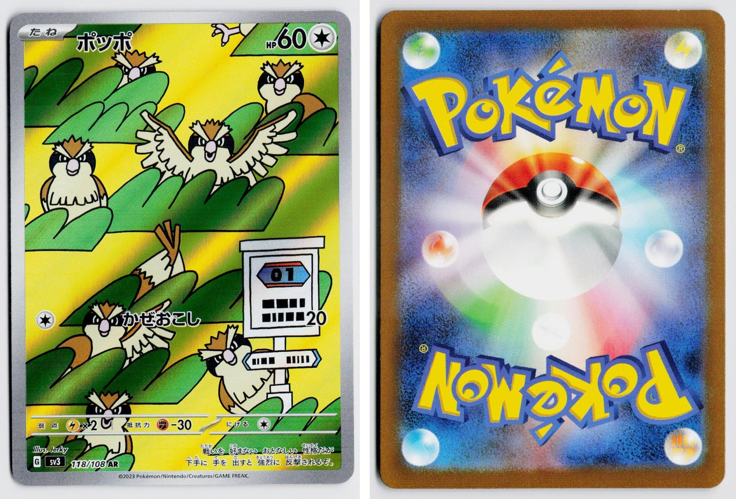 Front + Back scan