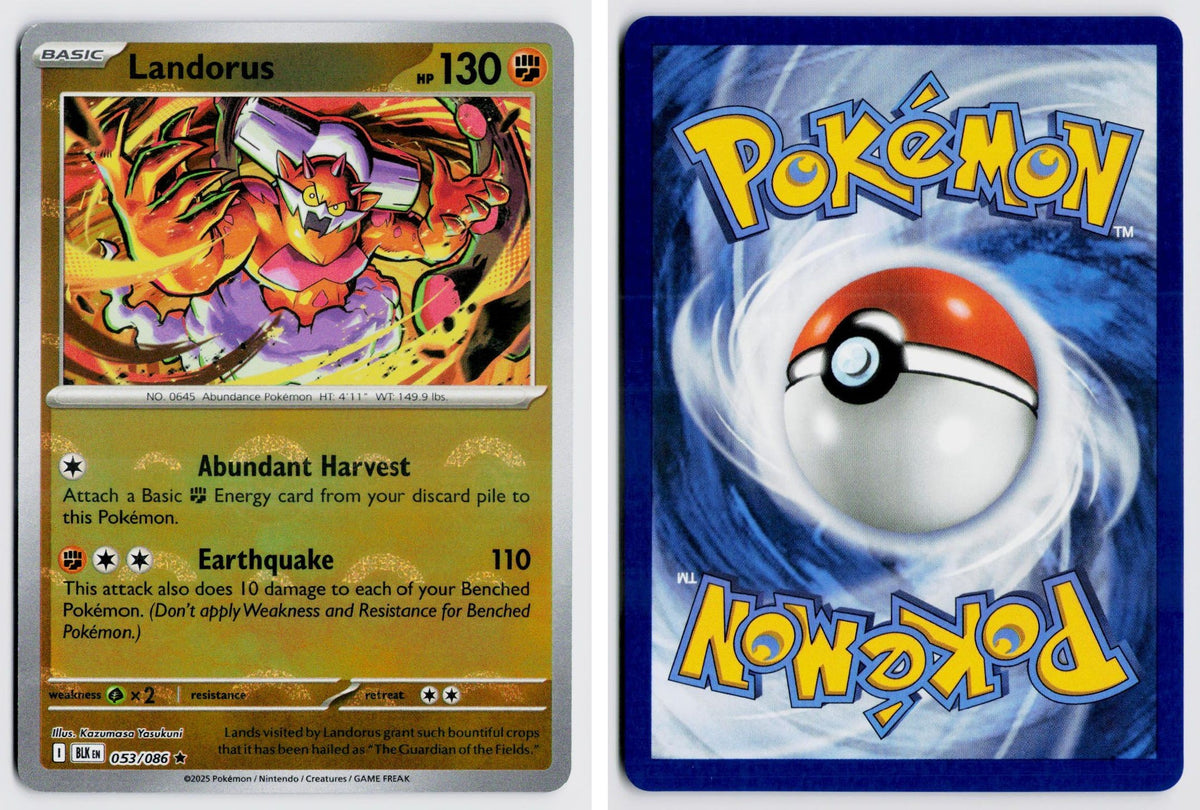 Front + Back scan
