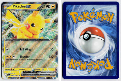 Front + Back scan