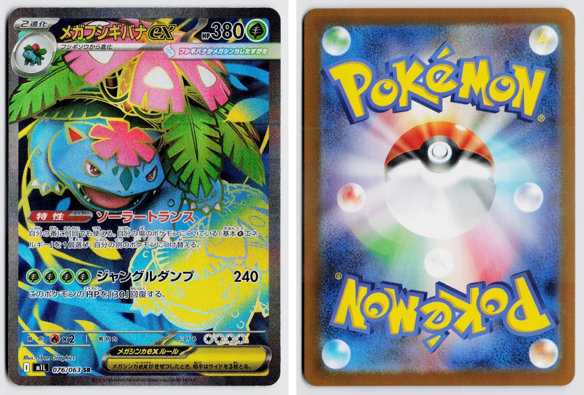 Front + Back scan