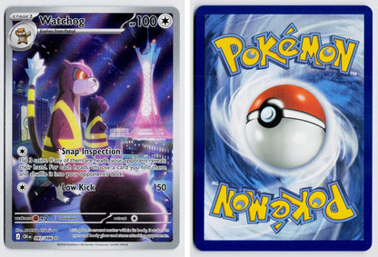 Front + Back scan