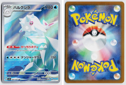 Front + Back scan
