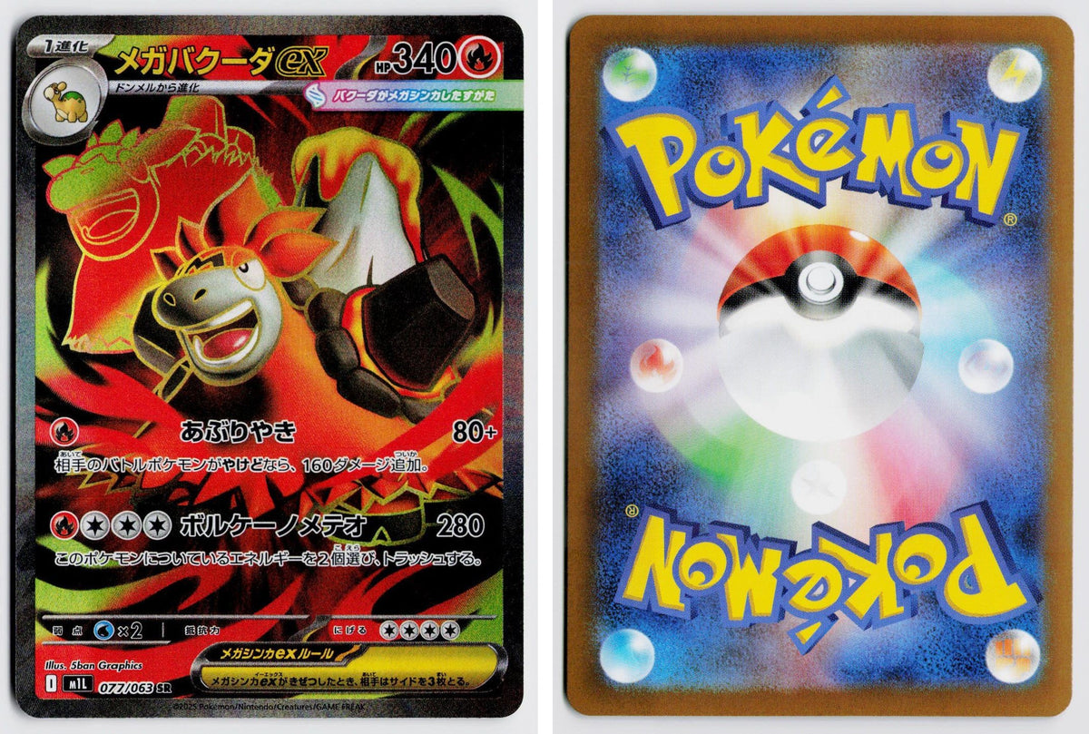 Front + Back scan