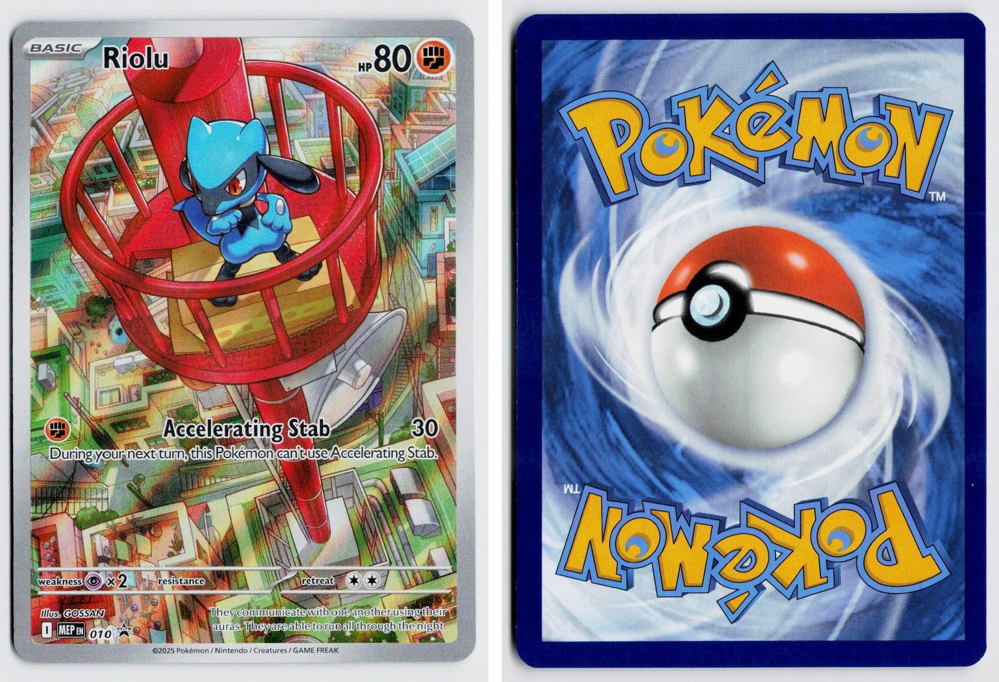 Front + Back scan