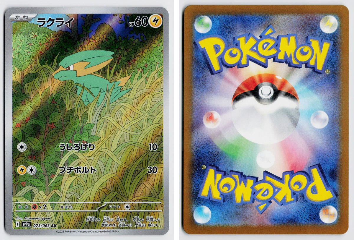 Front + Back scan