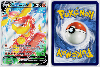 Front + Back scan