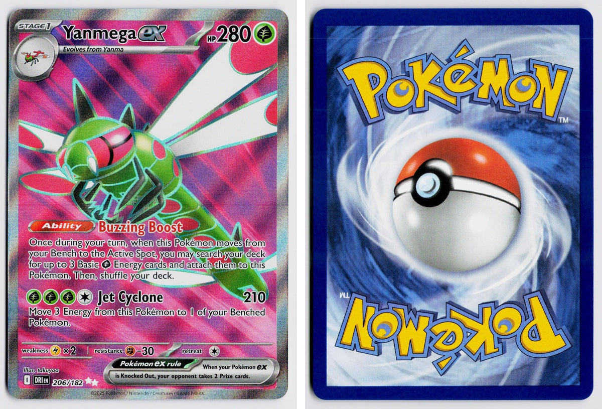 Front + Back scan