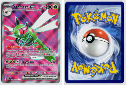 Front + Back scan