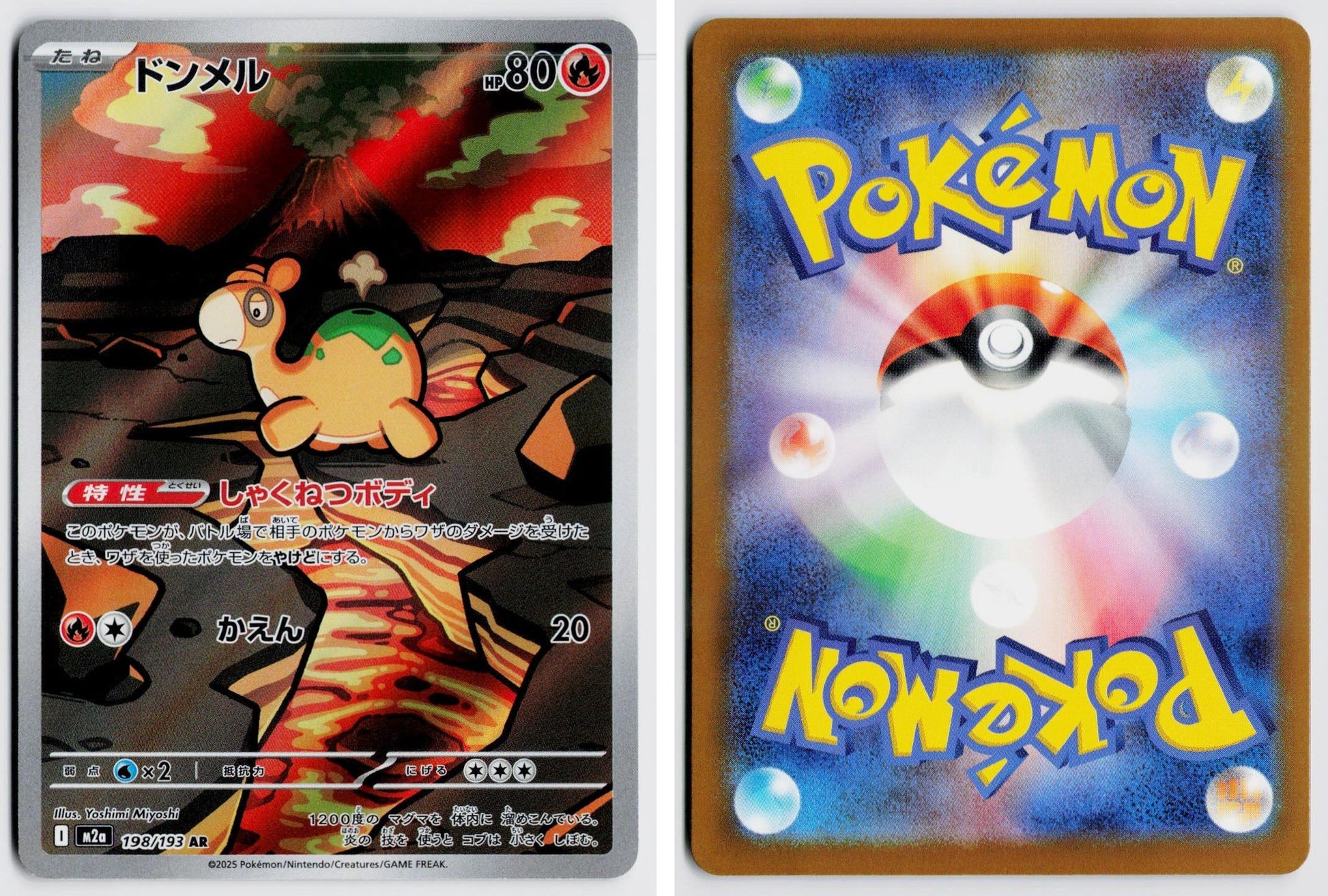 Front + Back scan
