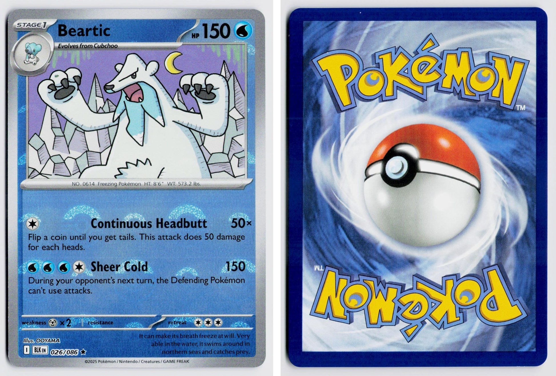 Front + Back scan