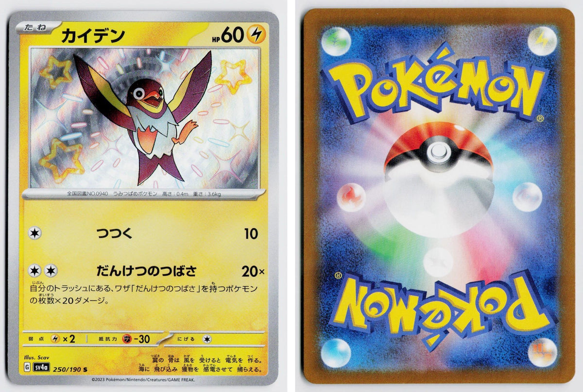 Front + Back scan