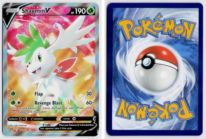 Front + Back scan