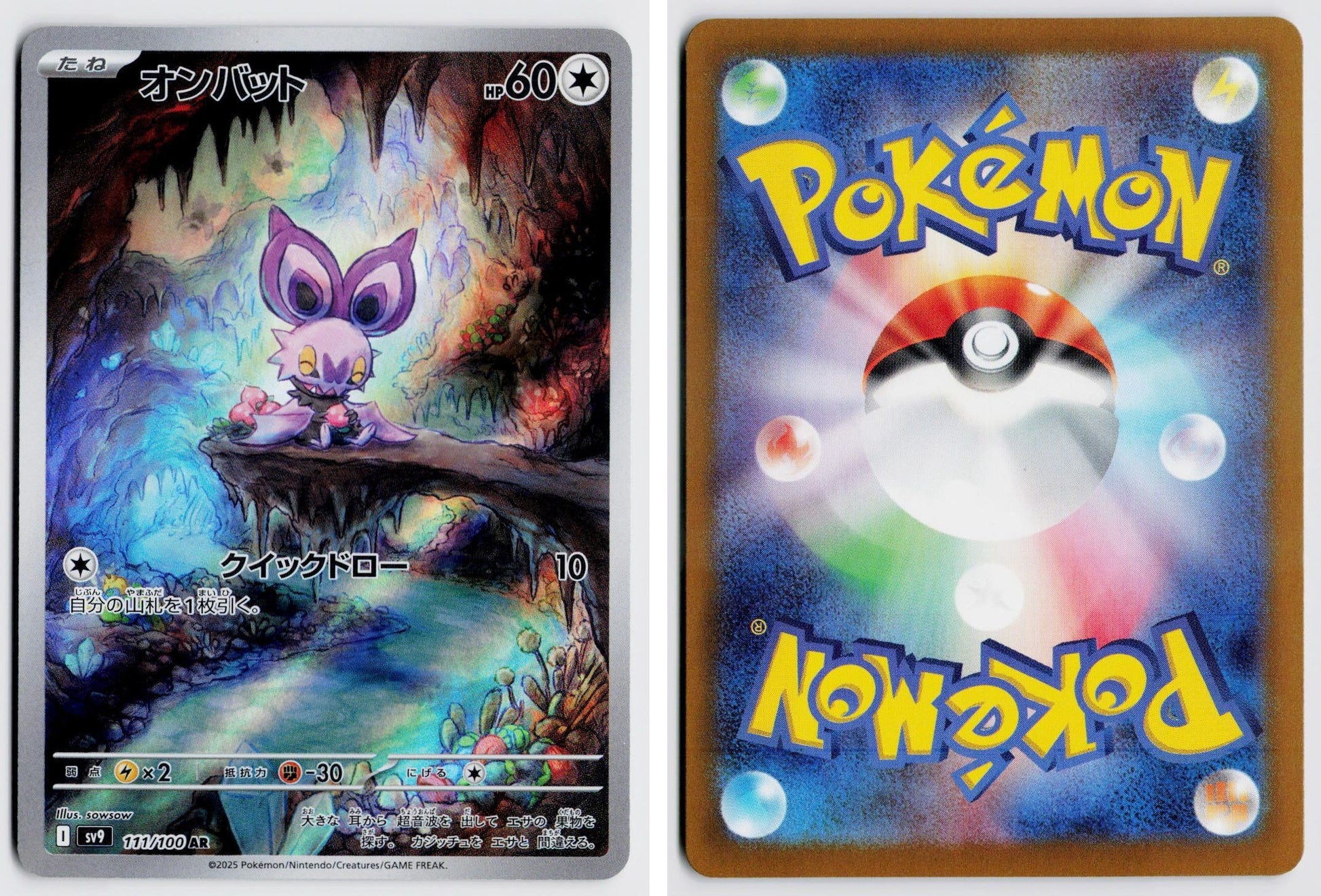Front + Back scan
