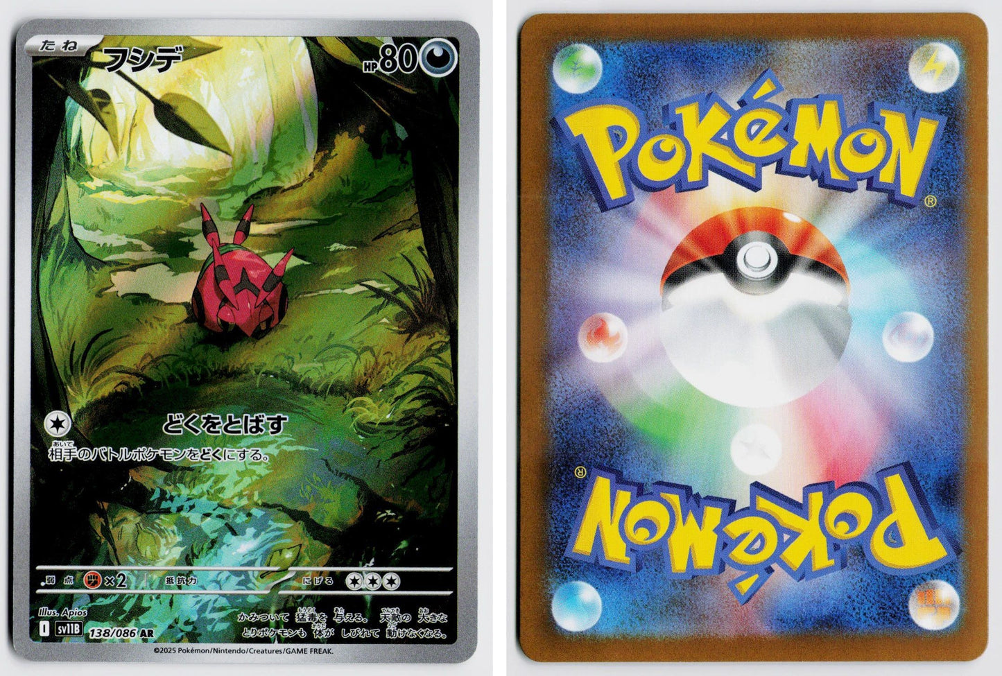 Front + Back scan
