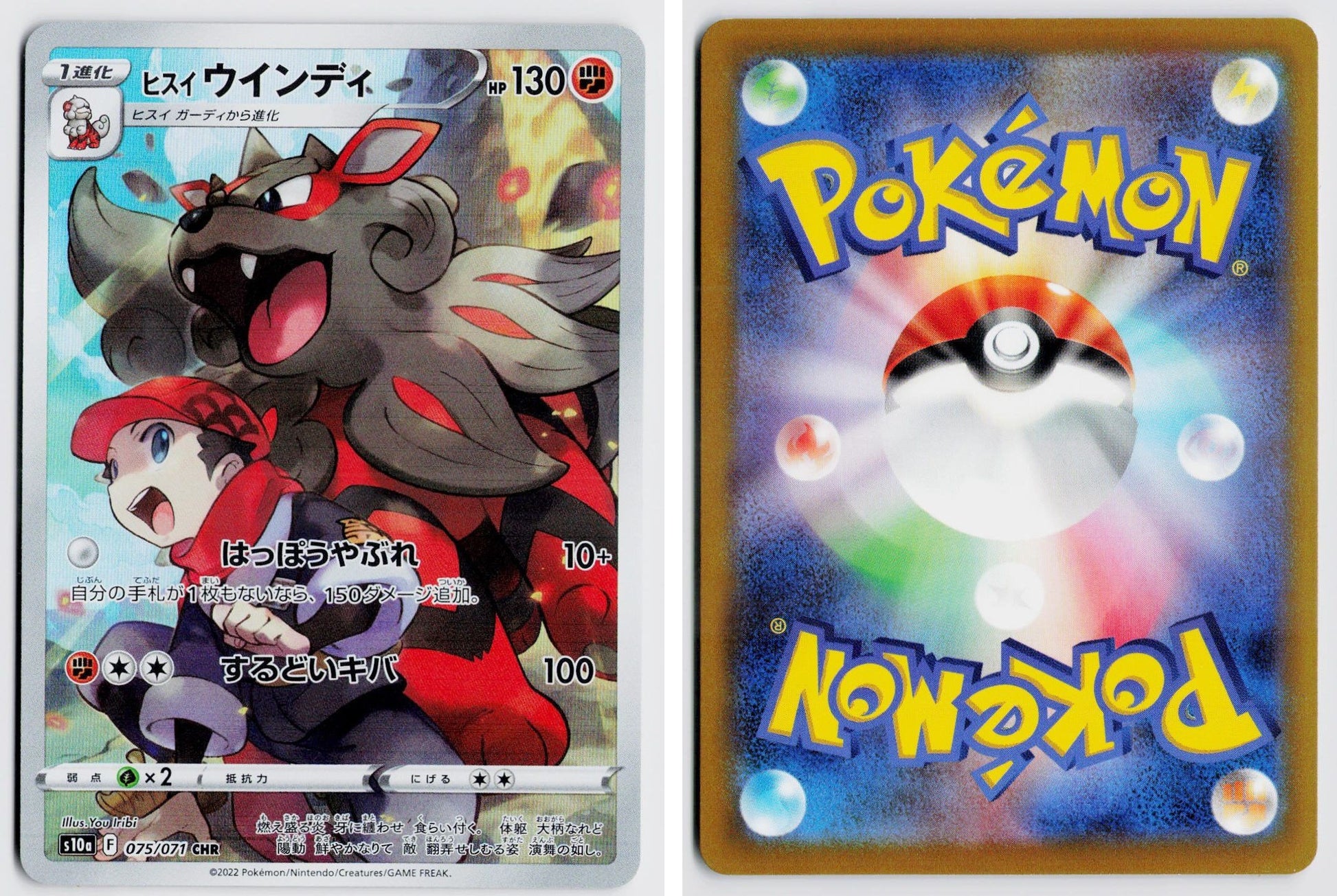 Front + Back scan